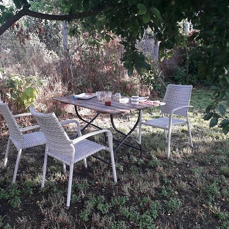 Vila Joevo Het Pihenohaz Poroszló Exteriér fotografie