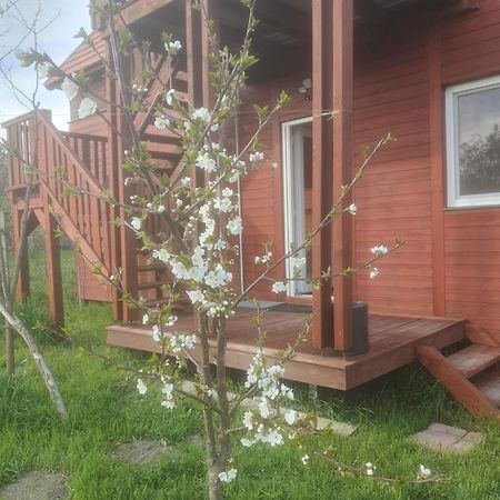 Vila Joevo Het Pihenohaz Poroszló Exteriér fotografie