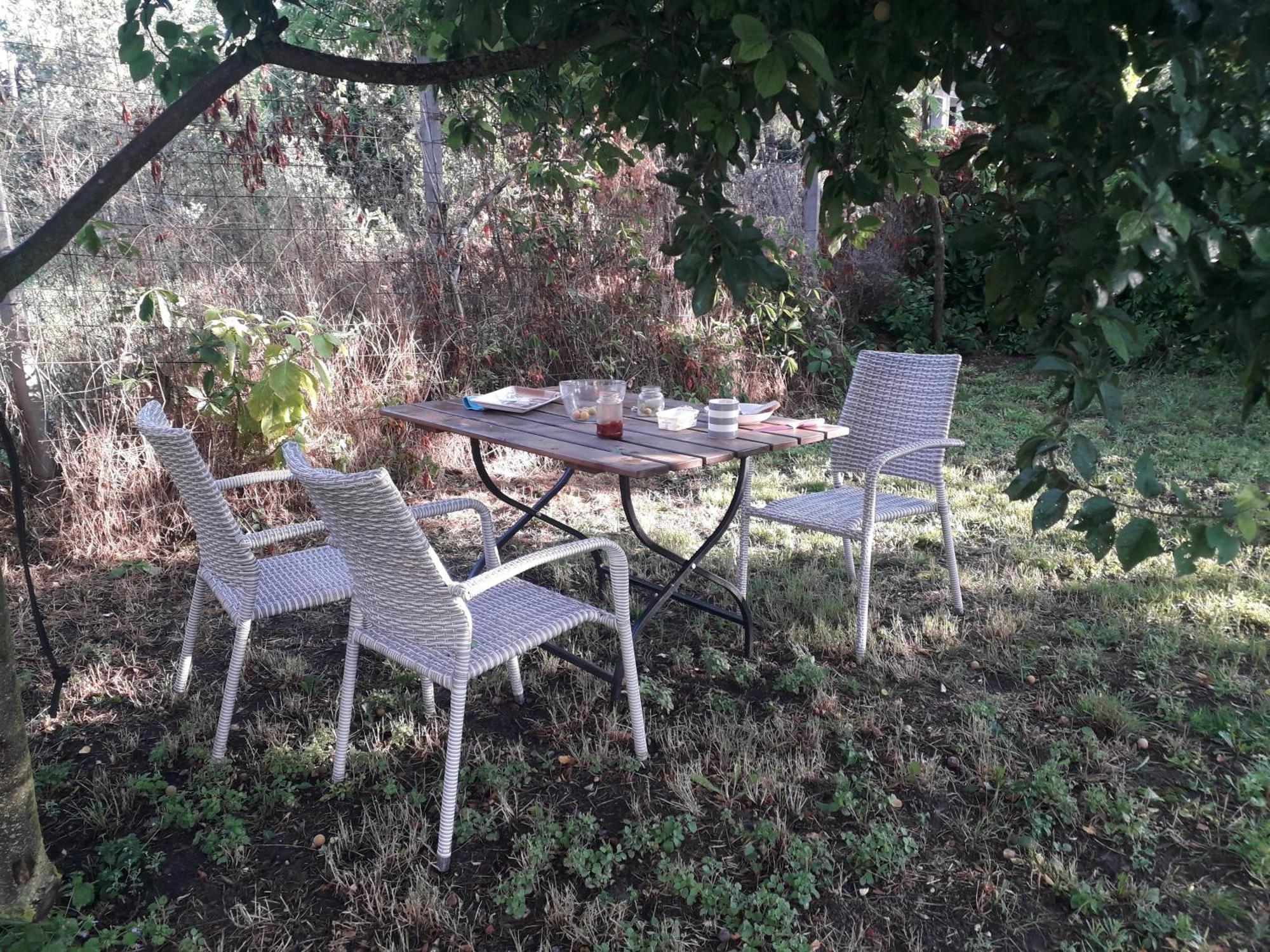 Vila Joevo Het Pihenohaz Poroszló Exteriér fotografie