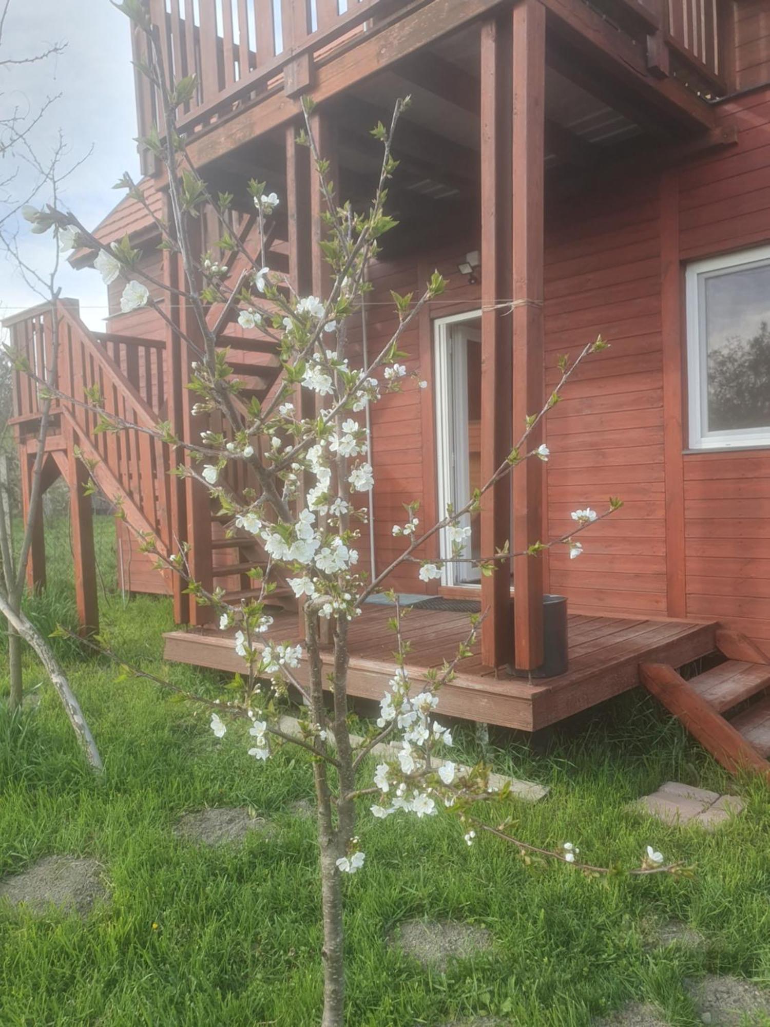 Vila Joevo Het Pihenohaz Poroszló Exteriér fotografie